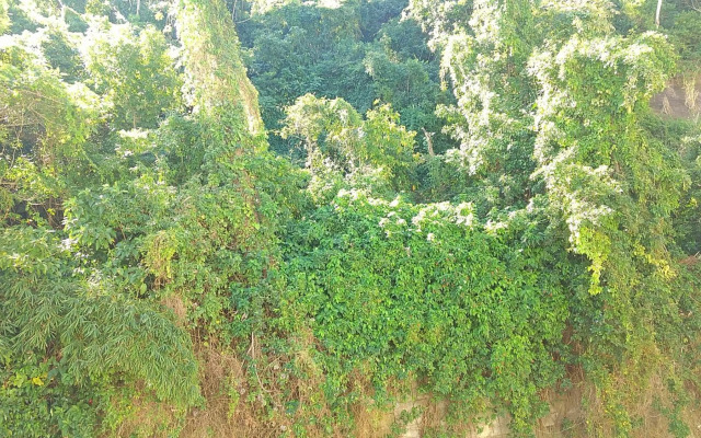 Apartamento Barão da Torre