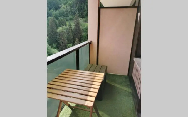 studio vue montagne