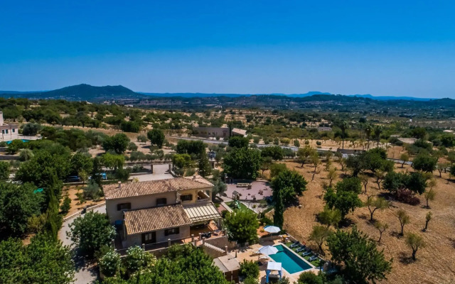 Puig d'en Guardiola ID:74768