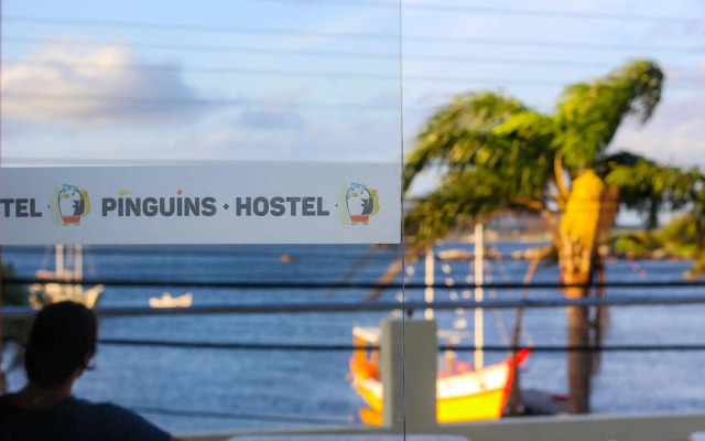 Pinguins Hostel