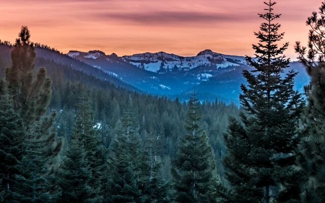 Star Haven Retreat 5 BDR Stunner!