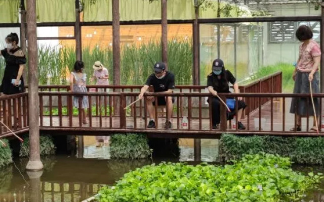 Pastoral Art Museum Art Homestay