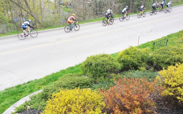 Little Paris Bed and Breakfast