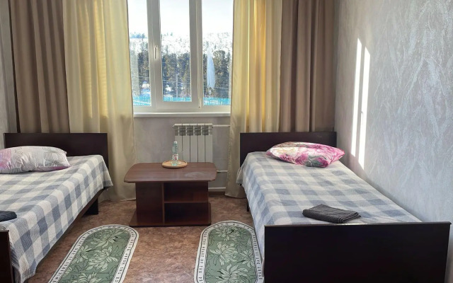 Кедр Золотой