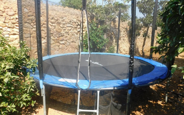 Spacious Villa Ideal Families and Groups