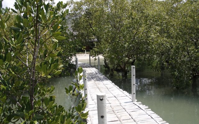 Mangrove ECO Resort