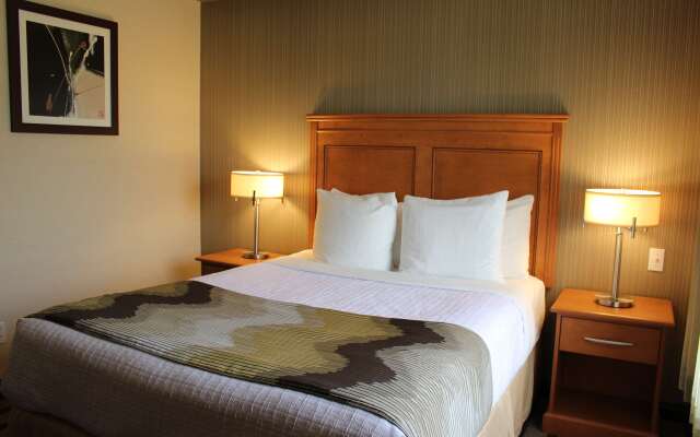 Best Western King George Inn & Suites