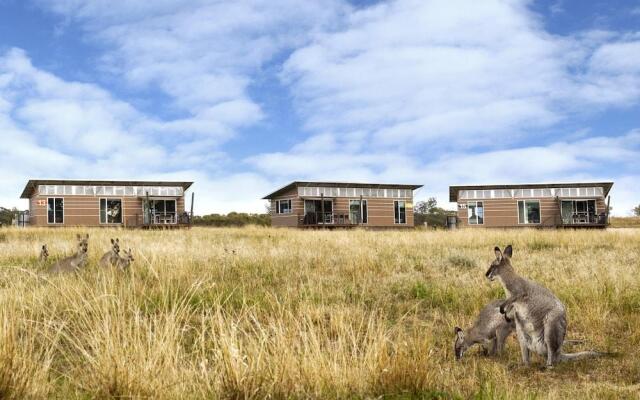 Savannah Cabins