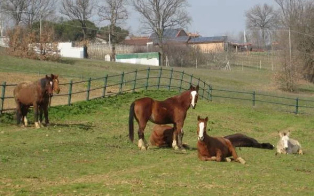 Hotel Leon DOro Castell Arquato