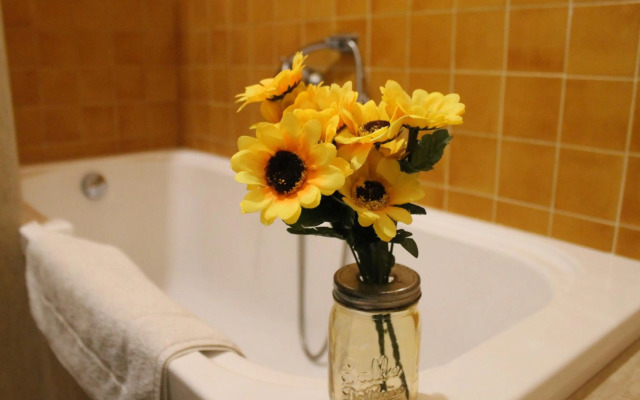 Ai Bastioni del Massimo