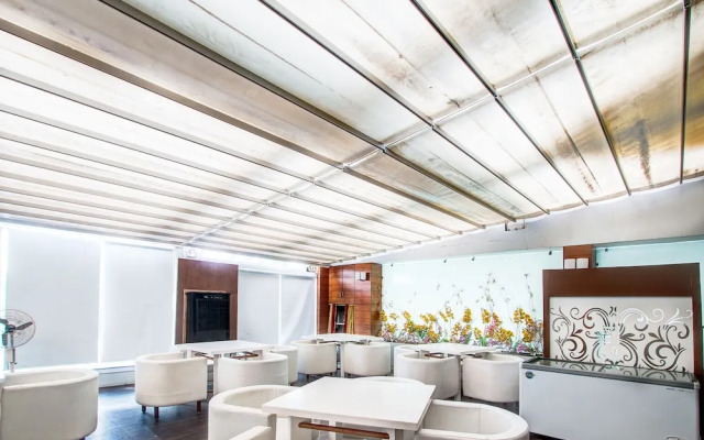 ZO Cherry Tree Palasia