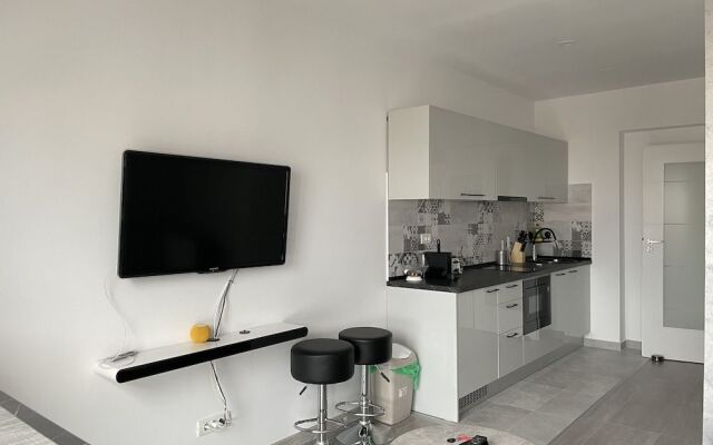 Beautiful Penthouse Lakeview W18