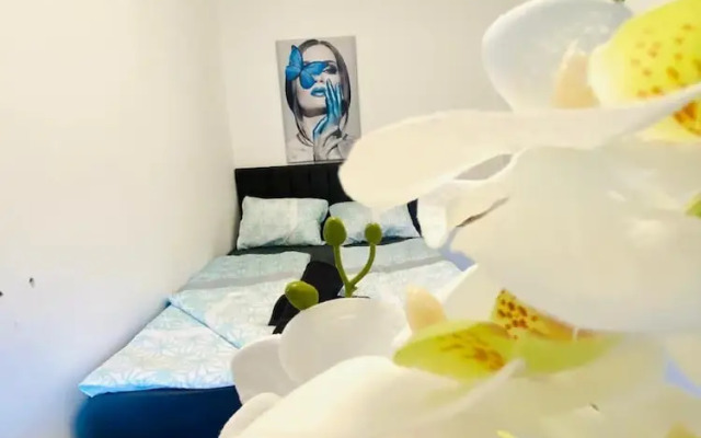 Spacious 4BR for 15 & 15 Min to Danube