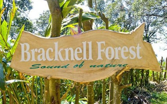 Bracknellforest