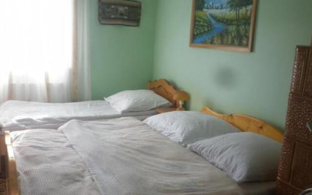 Pensiunea Ana Orghici