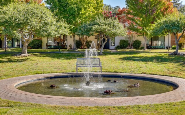 Serene Napa Retreat w/ Patio & Pool Access!