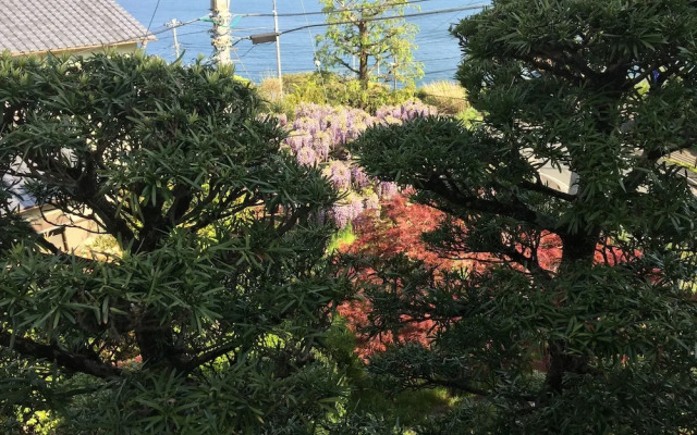 Japan Countryside Atami