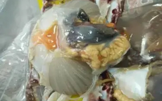 朱家尖博茨渔家客栈
