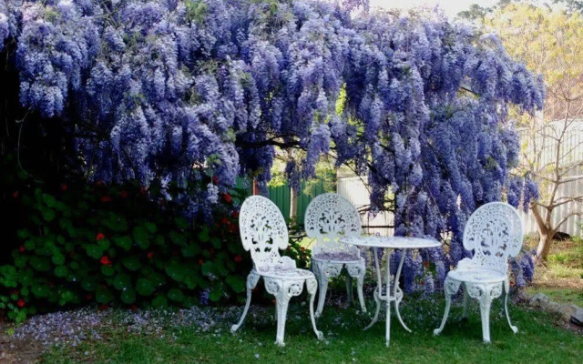 Pemberton Old Picture Theatre Holiday Apartments