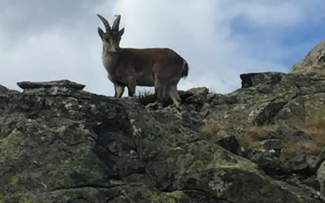 Hostal Sierra De Gredos