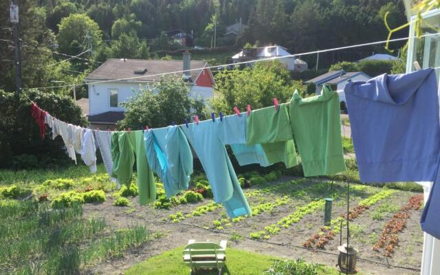 Jardin Potager