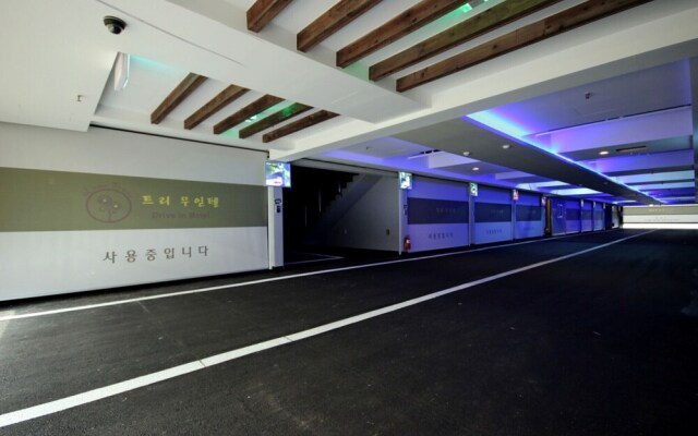 Gunsan Lemon Tree
