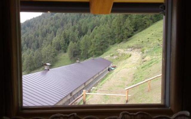 Restor Natura Malga Mondent