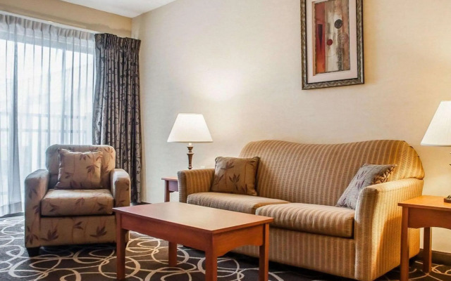 Quality Hotel & Suites At The Falls