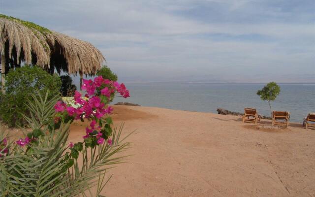 Bedouin Star (Ras shetan area)