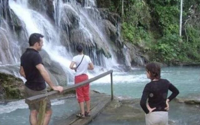 Desarollo Ecoturistico Kolem Jaa