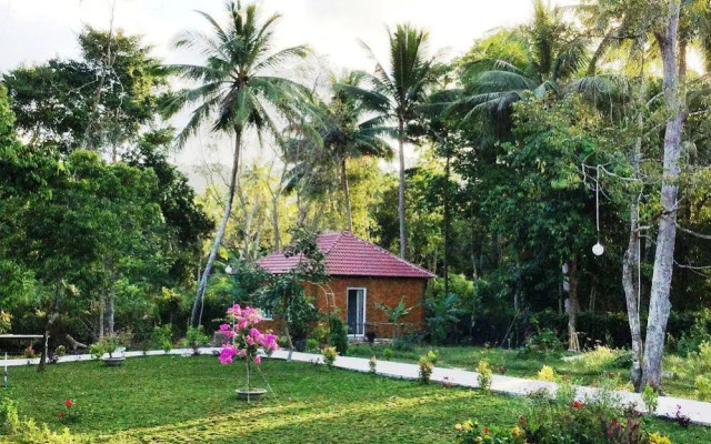 Giraffa Phu Quoc