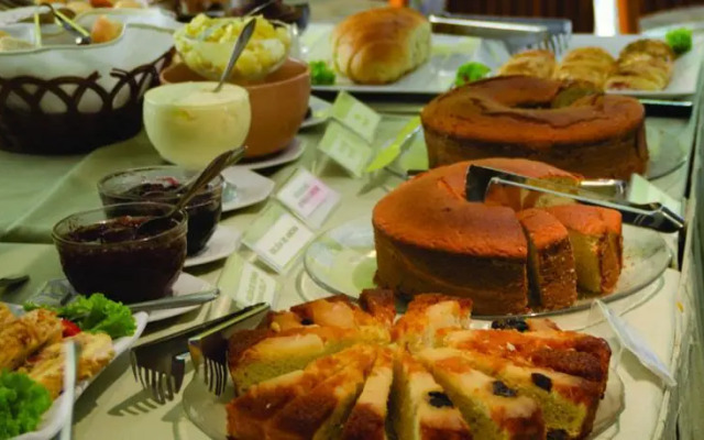 卡舒埃鲁广场酒店(Cachoeiro Plaza Hotel)