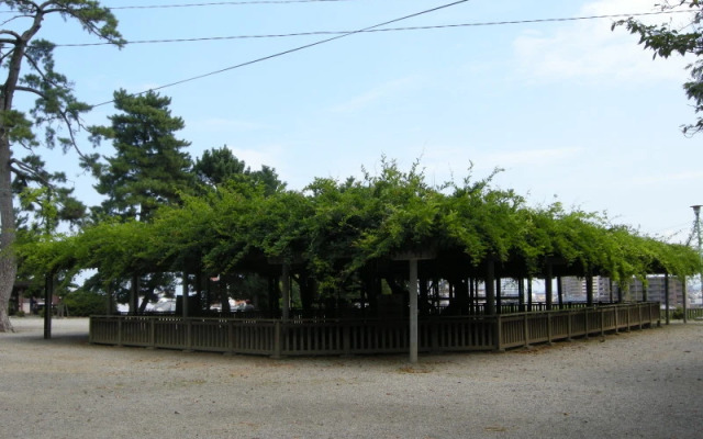 Yachiyo Kappou & Ryokan