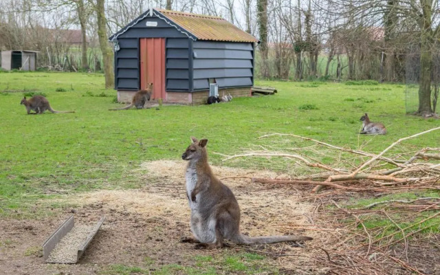 Studio Kon. Emmaweg 6, Vrouwenpolder