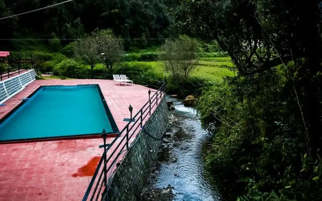 The Jungle Pool
