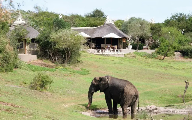 The Safari Lodge