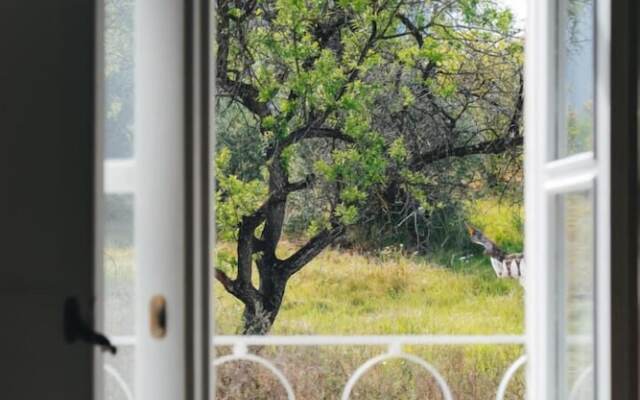 São Paulo Boutique Hotel