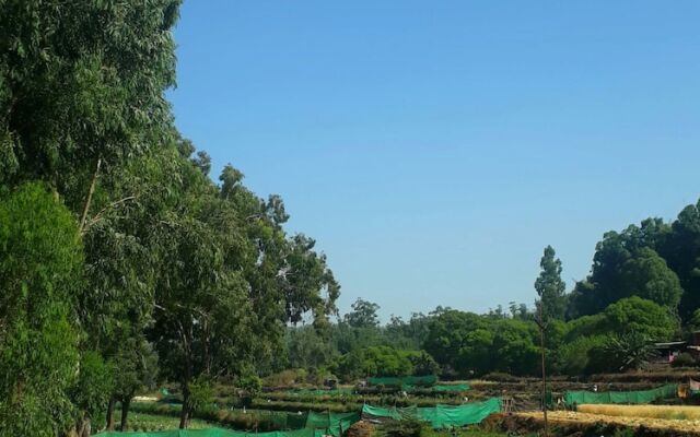 OYO 10236 Strawberry Homes