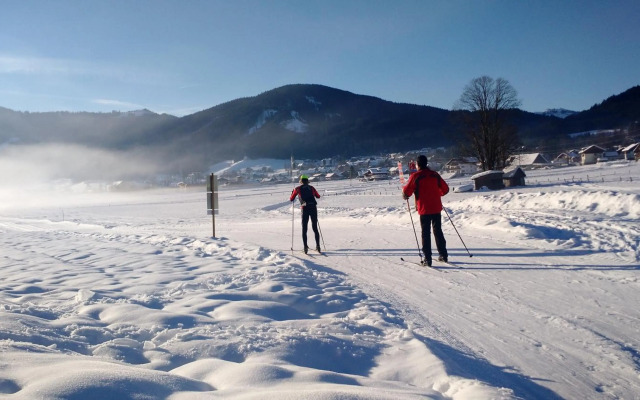 Apartment 14 Edelweiss Gosau