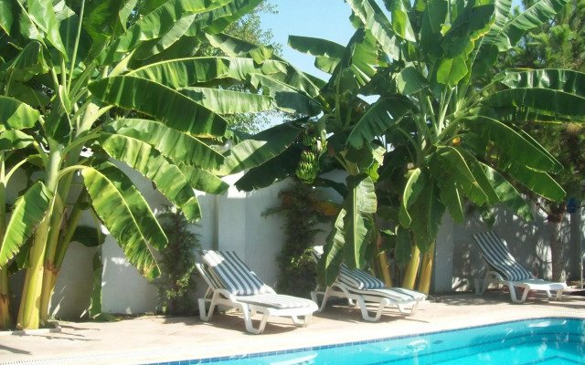 Hotel Vanilla