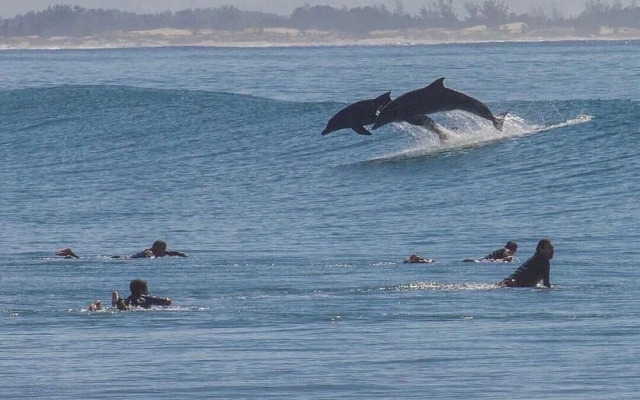 Resid. Clube Mar Grosso-Laguna - LAG605