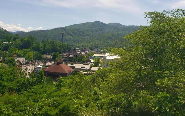 Gatlinburg Chateau Condo 503