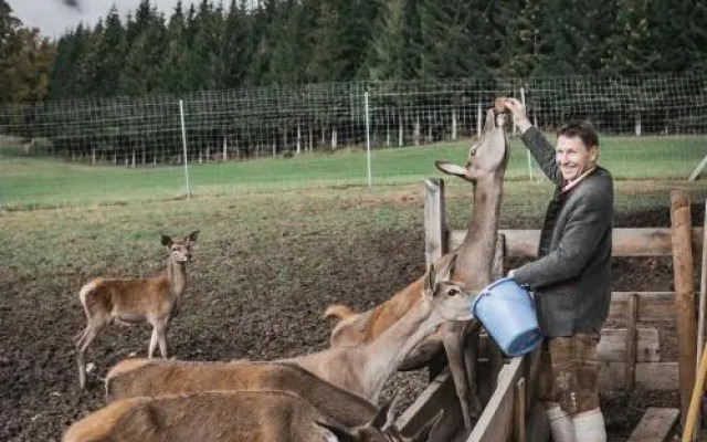 Berghof Haselsberger Appartment