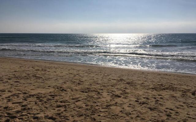 Alfamar2108