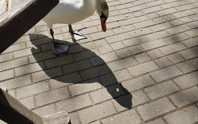 Турбаза Невидо