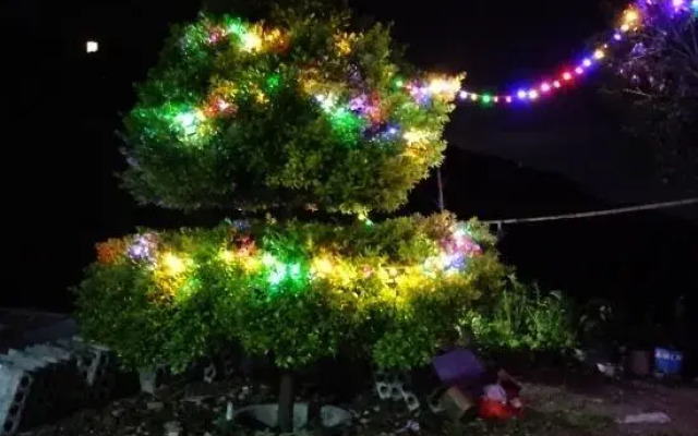 Hengshan Palm Tree Garden Self-operated Homestay (Central Scenic Area)