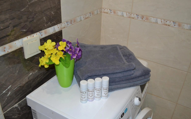 Apartments on Rodnikovoy