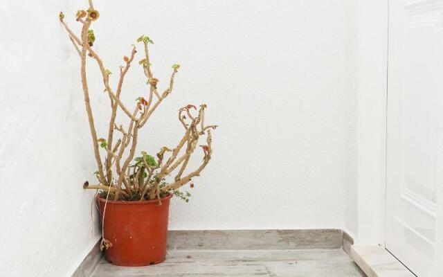 AKTION Peniche Hostel & Apartments