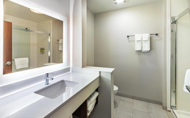 Tru by Hilton Saint Joseph