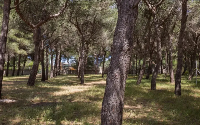 Villetta la Pineta